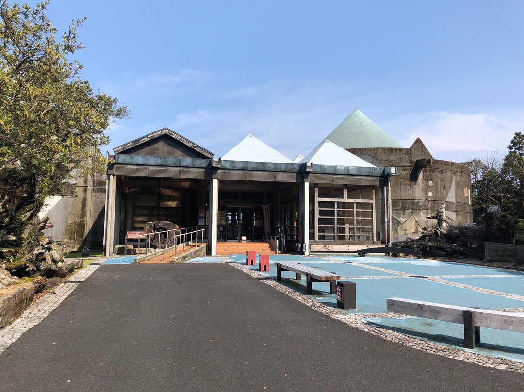Yakusugi Museum景点图片
