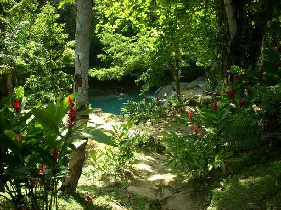 Barrett Adventures-蒙特戈贝必去景点