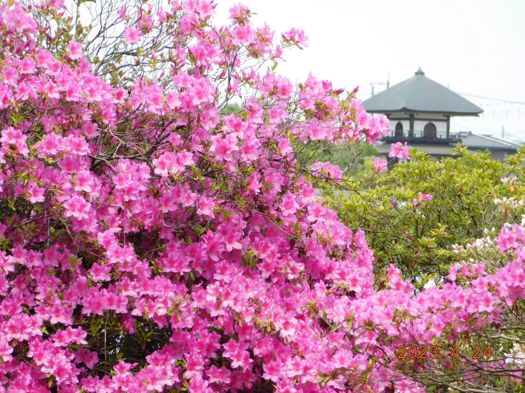 Zenchoji Temple景点图片