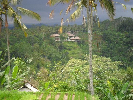 Bali Quad Discovery Tours-佩艳艮必去景点