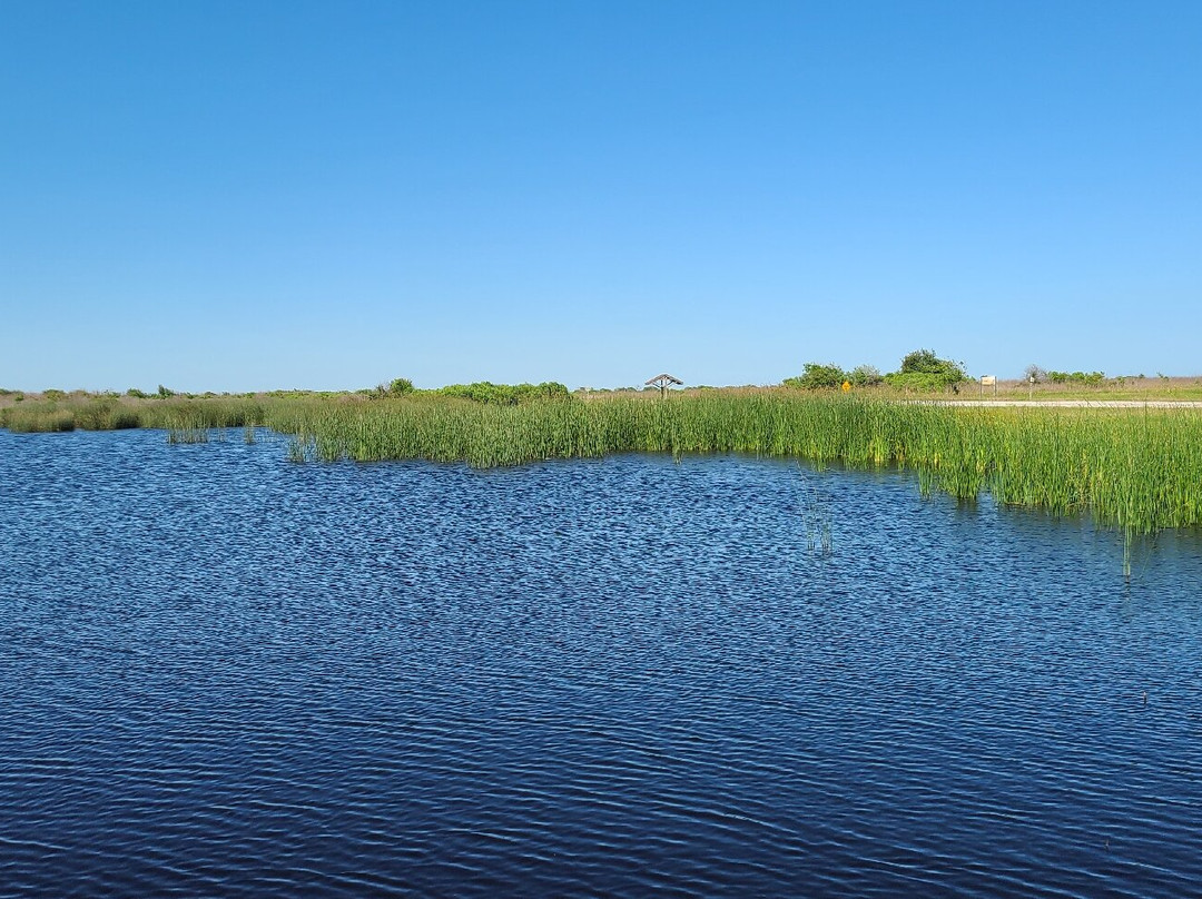Brazoria National Wildlife Refuge-Freeport必去景点
