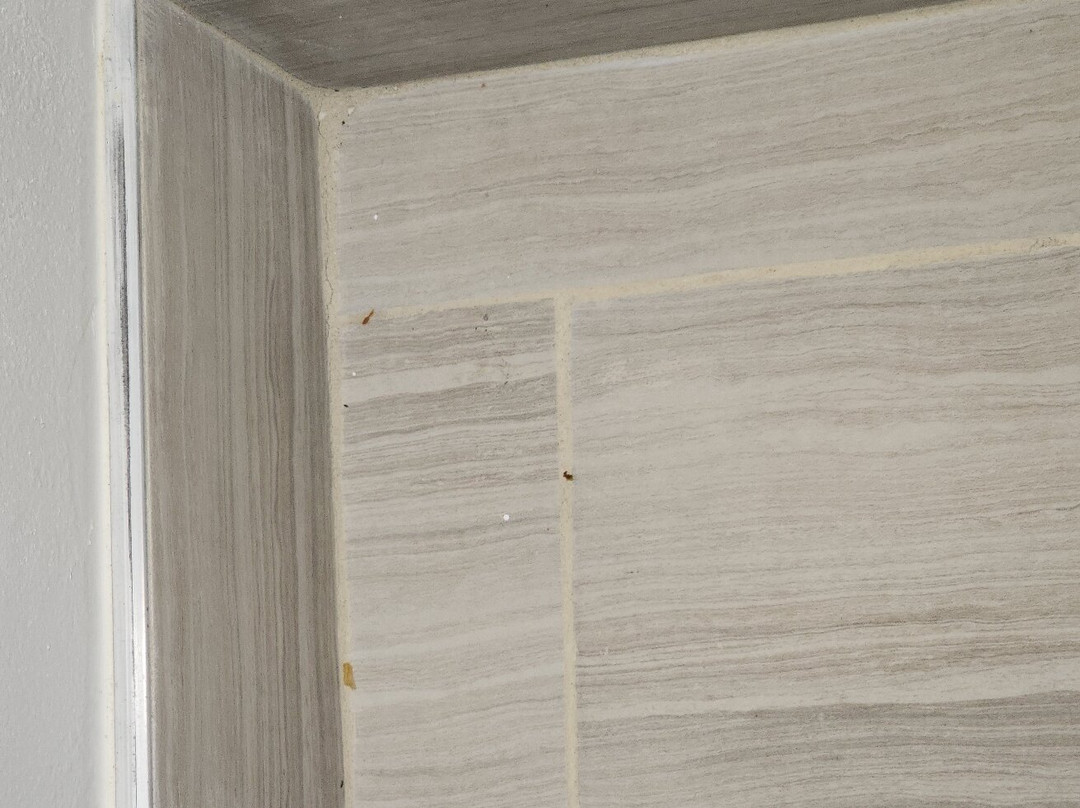 Quality Inn Encinitas Near Legoland主图