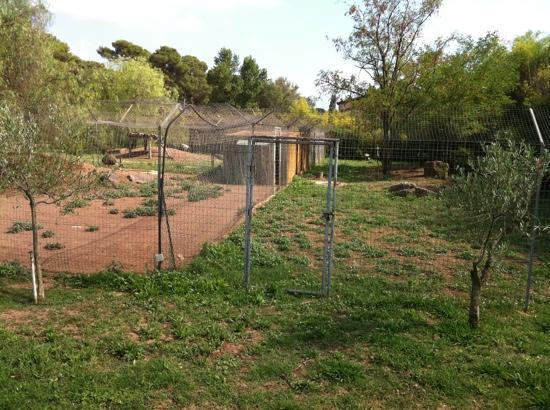 Parc Zoologique de Frejus-弗雷瑞斯必去景点