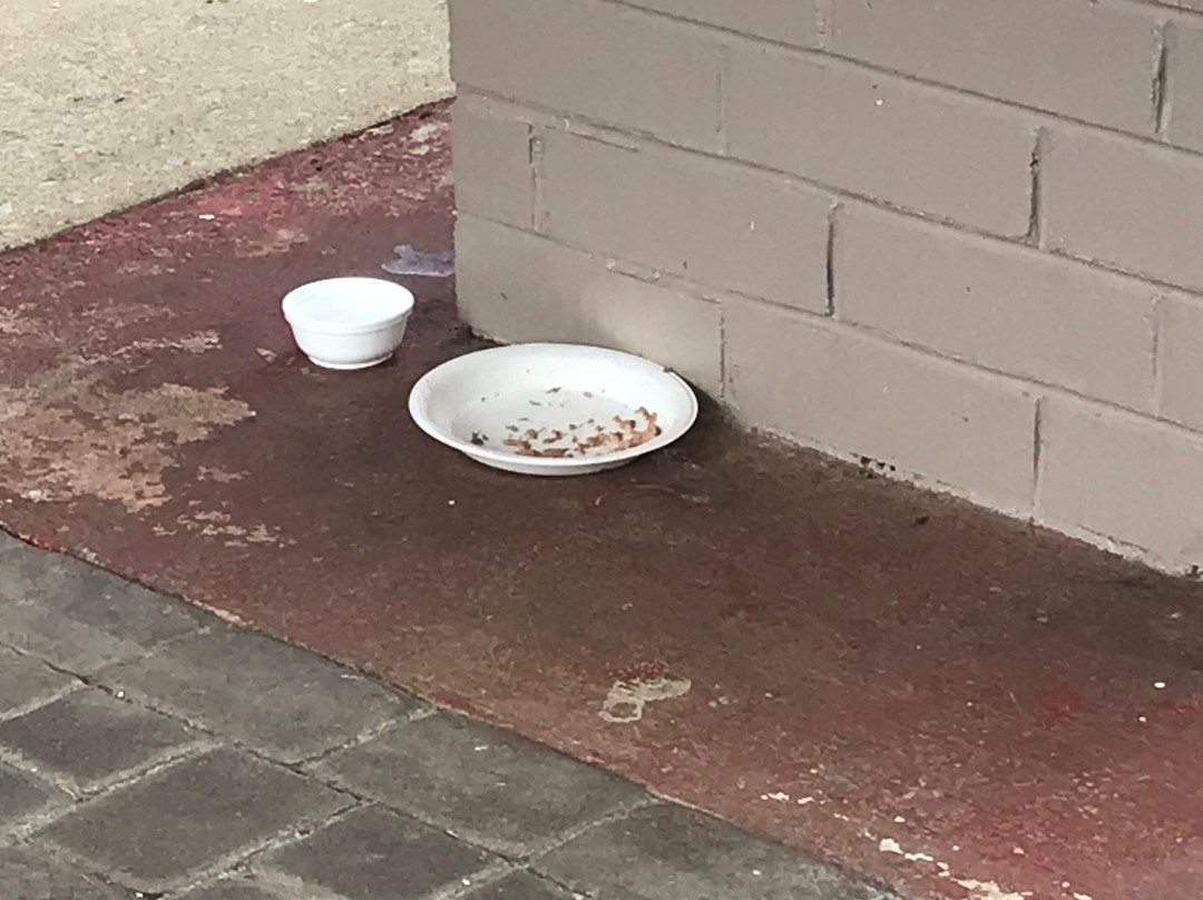 Holiday Inn Express & Suites Newport South by IHG主图