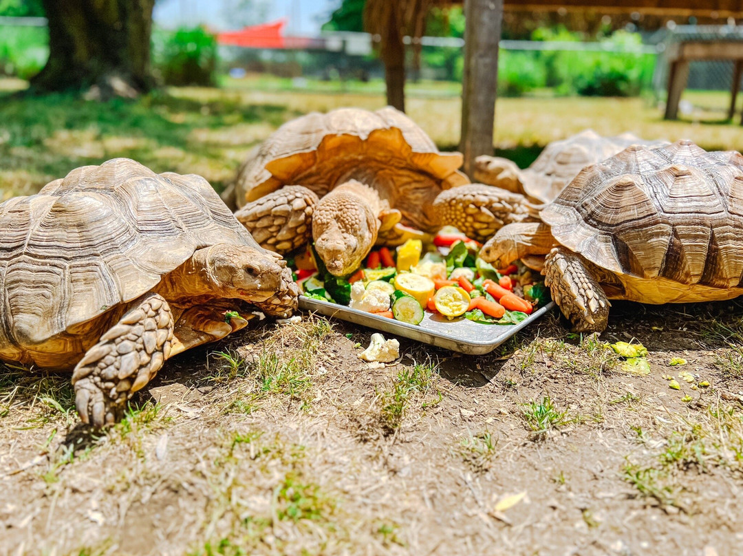 Noah's Lost Ark, Inc.-Berlin Center必去景点