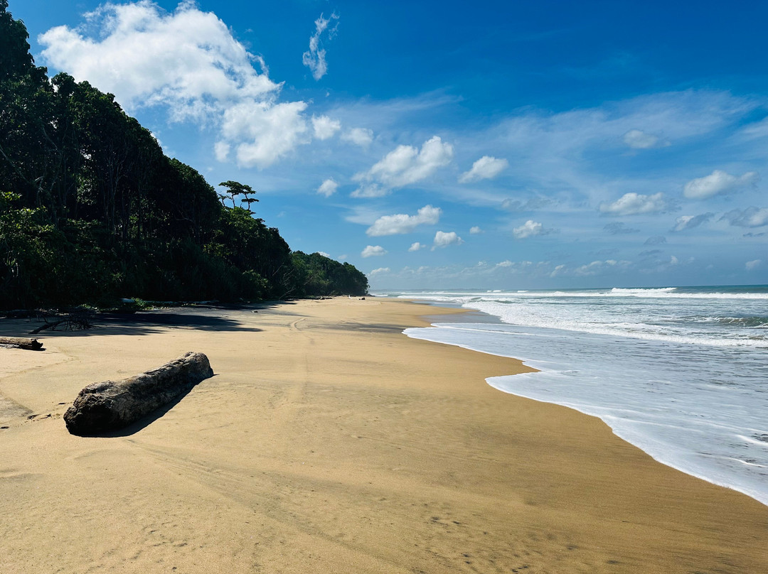 Bukit Barisan Selatan National Park-Tanggamus必去景点