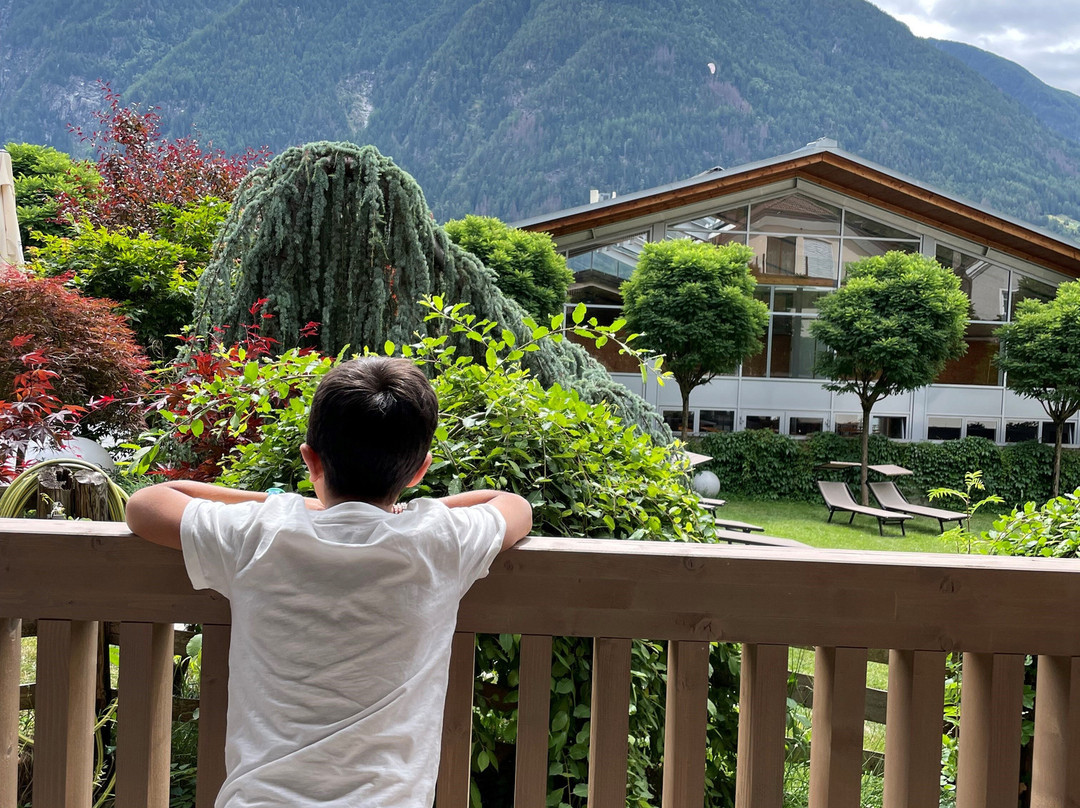 Residence Hotel Alpinum主图