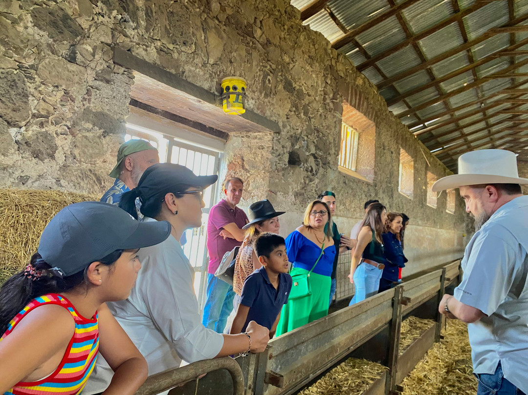 Ex Hacienda El Zoquital-Atotonilco El Grande必去景点