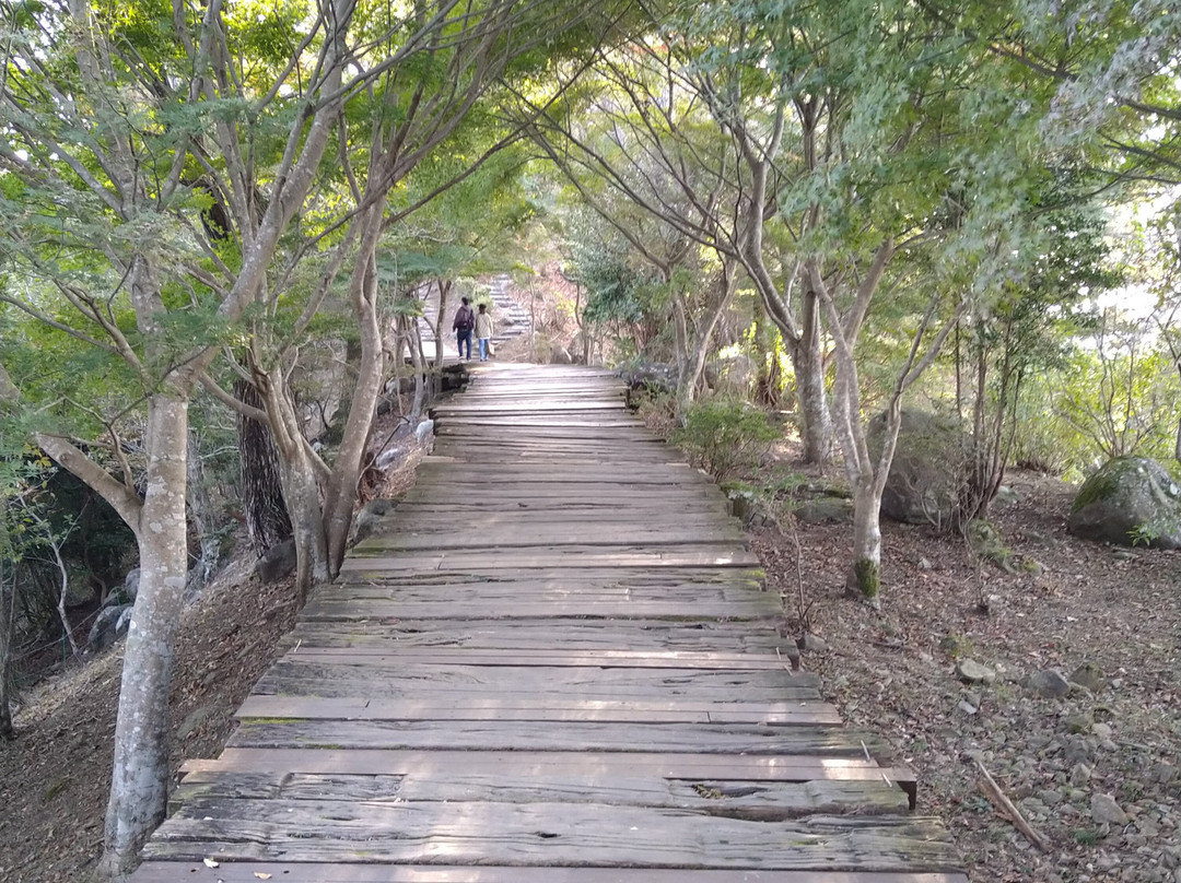 Izu Panorama Park Boardwalk