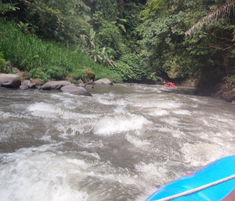 Rafting Ubud Bali-乌布必去景点
