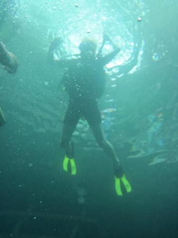 Turtle Dive Center-拉斯特拉纳斯必去景点