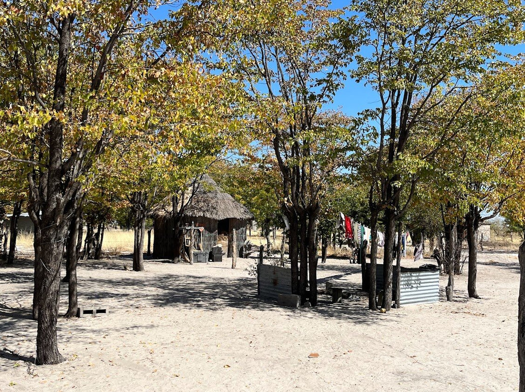 Okavango Houseboats景点图片