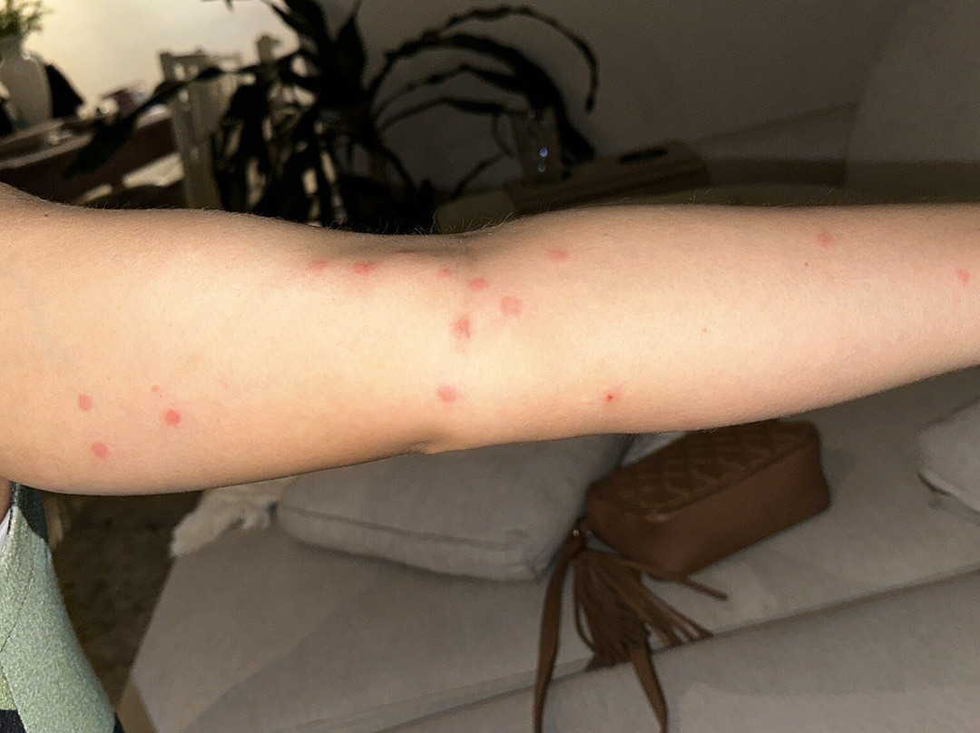 JB Palace Hotel主图