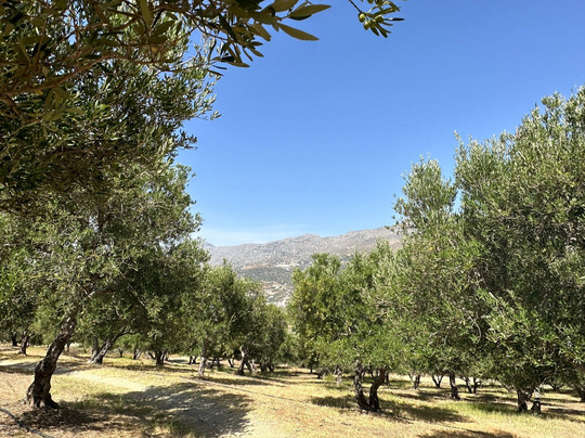 Eco Events-雷斯蒙必去景点