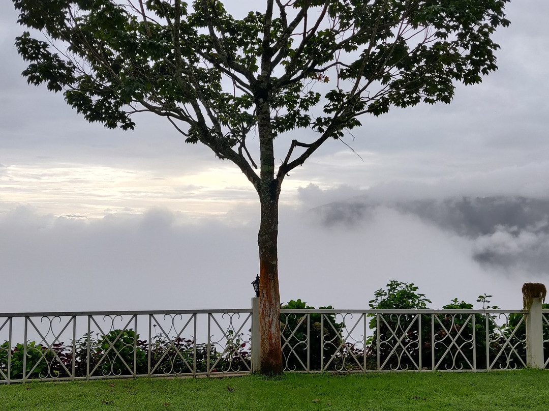 Ging Tea House主图