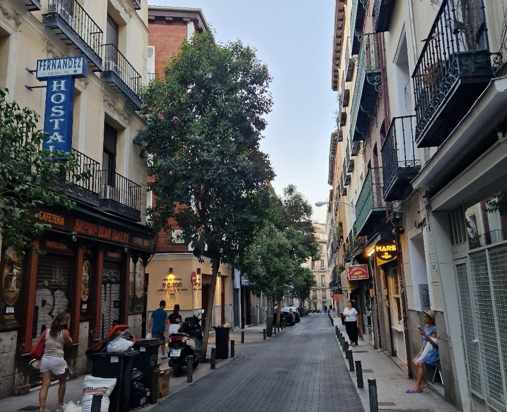 Barrio de Las Letras景点图片