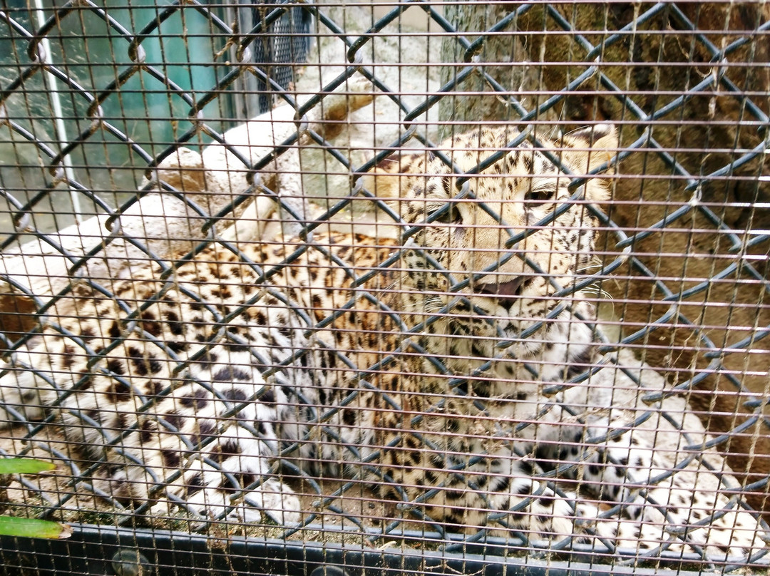 Fukuoka City Zoological Garden景点图片