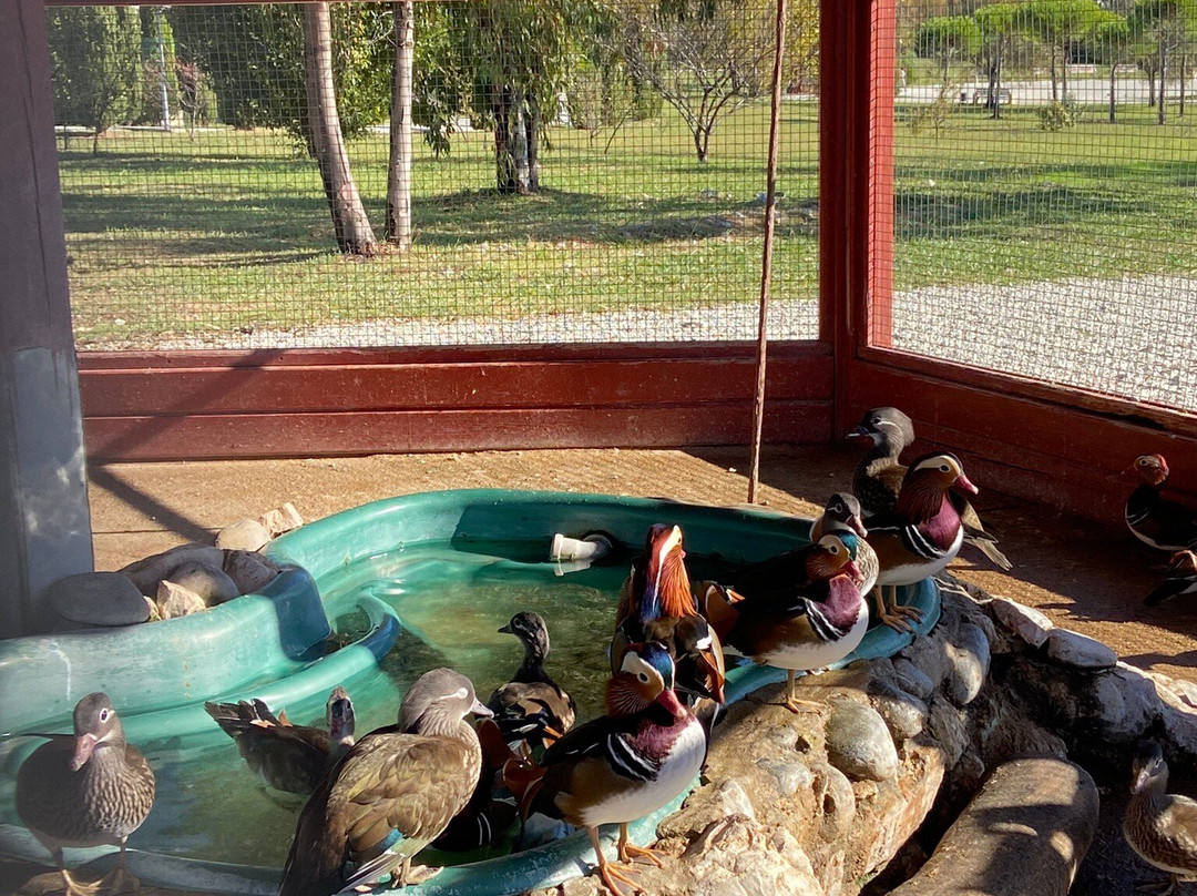 Natural Ornithological Park in the  Imereti Lowland-索契必去景点