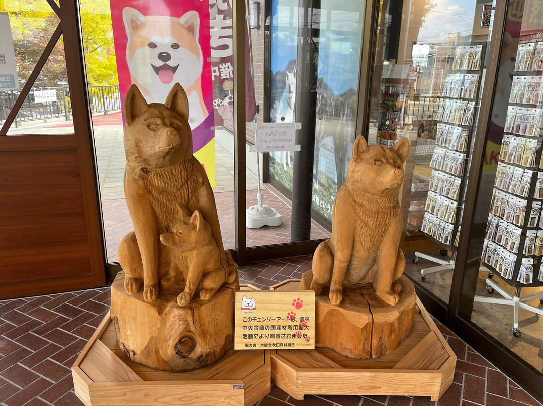 Akita Inu no Sato-大馆市必去景点