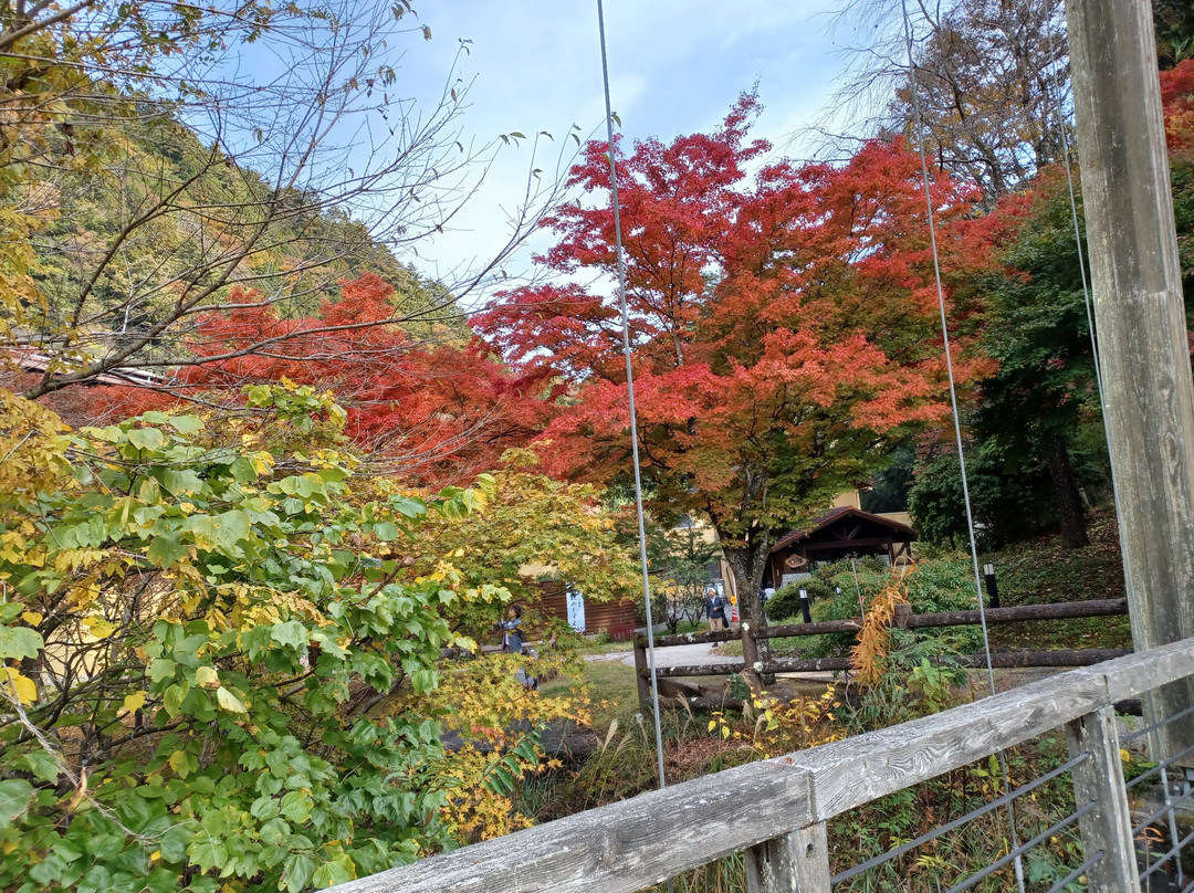 Tambayama Onsen Nomekoiyu景点图片