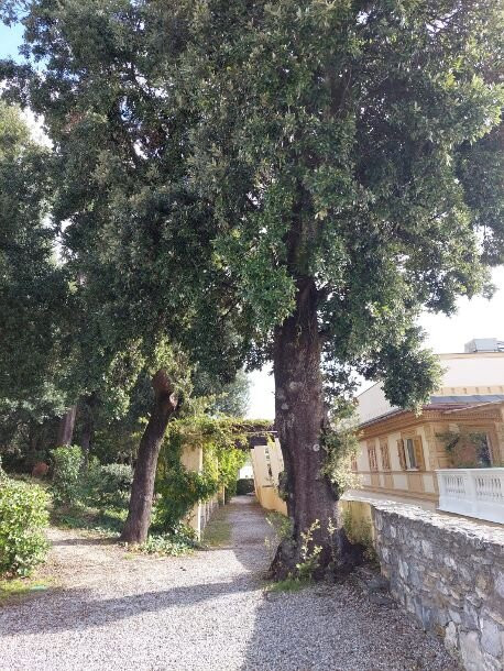 Parco Comunale Luigi Casale-拉帕洛必去景点