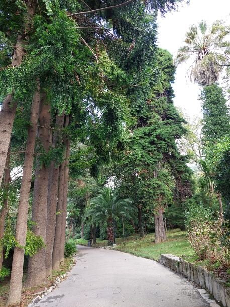 Parco Comunale Luigi Casale-拉帕洛必去景点