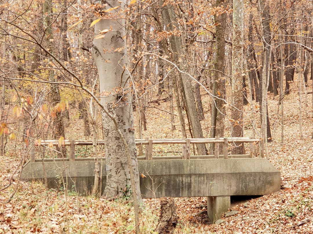 Cherokee Park-路易斯维尔必去景点