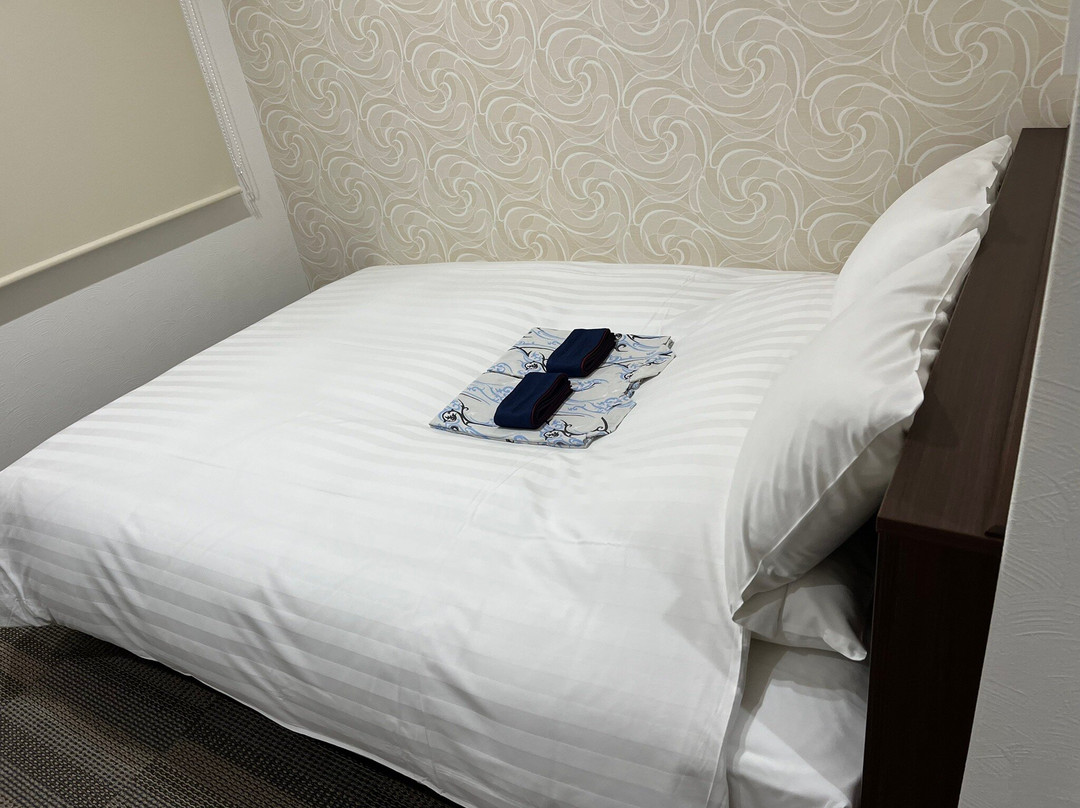 Kurayoshi City Hotel主图