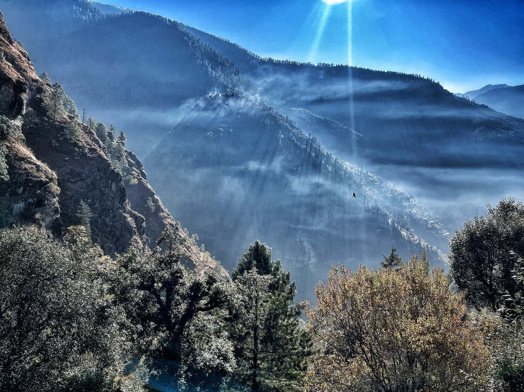 Manglor酒店住宿-Village Homestay