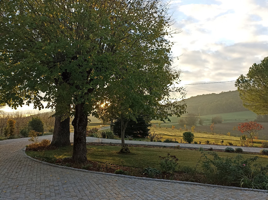 Domaine de Rateau主图