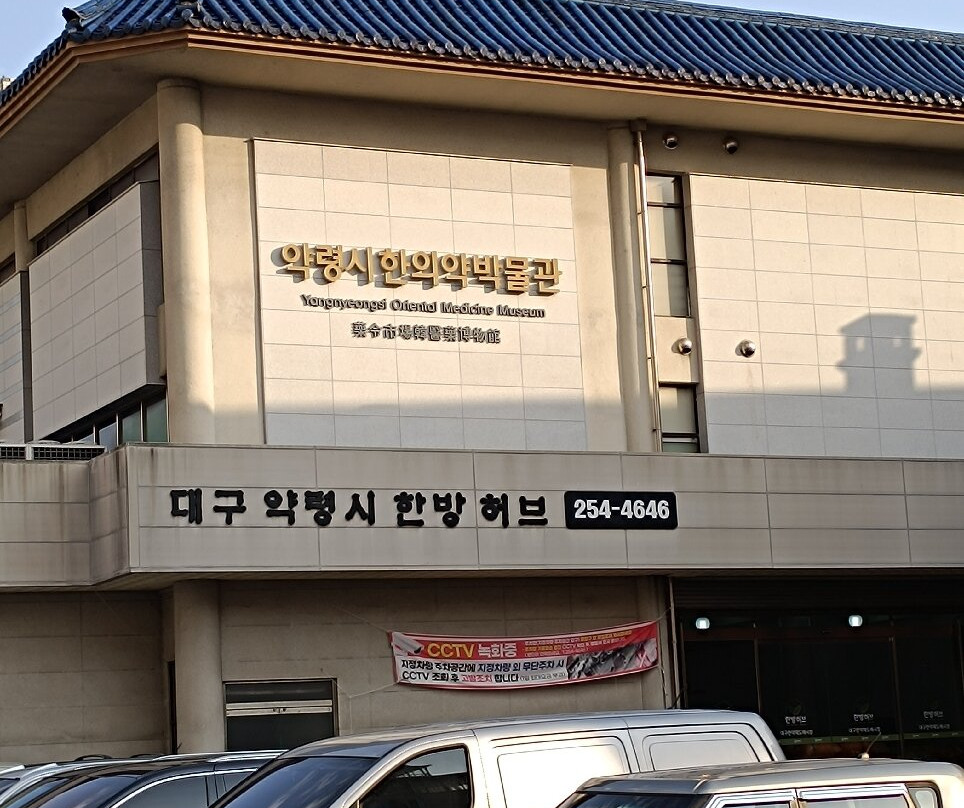Daegu Yangnyeongsi Museum of Oriental Medicine-大邱必去景点