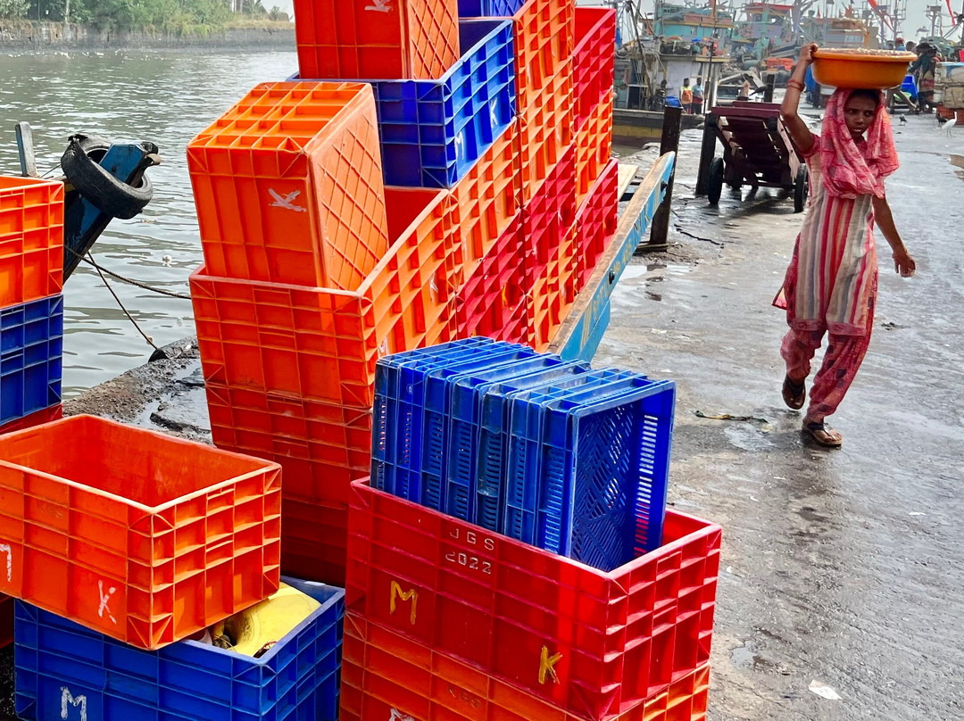 Sassoon Dock-孟买必去景点