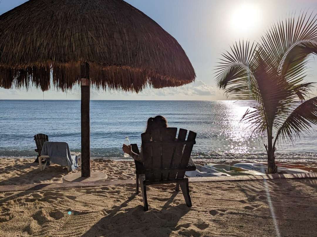 Del Sol Beachfront Properties主图