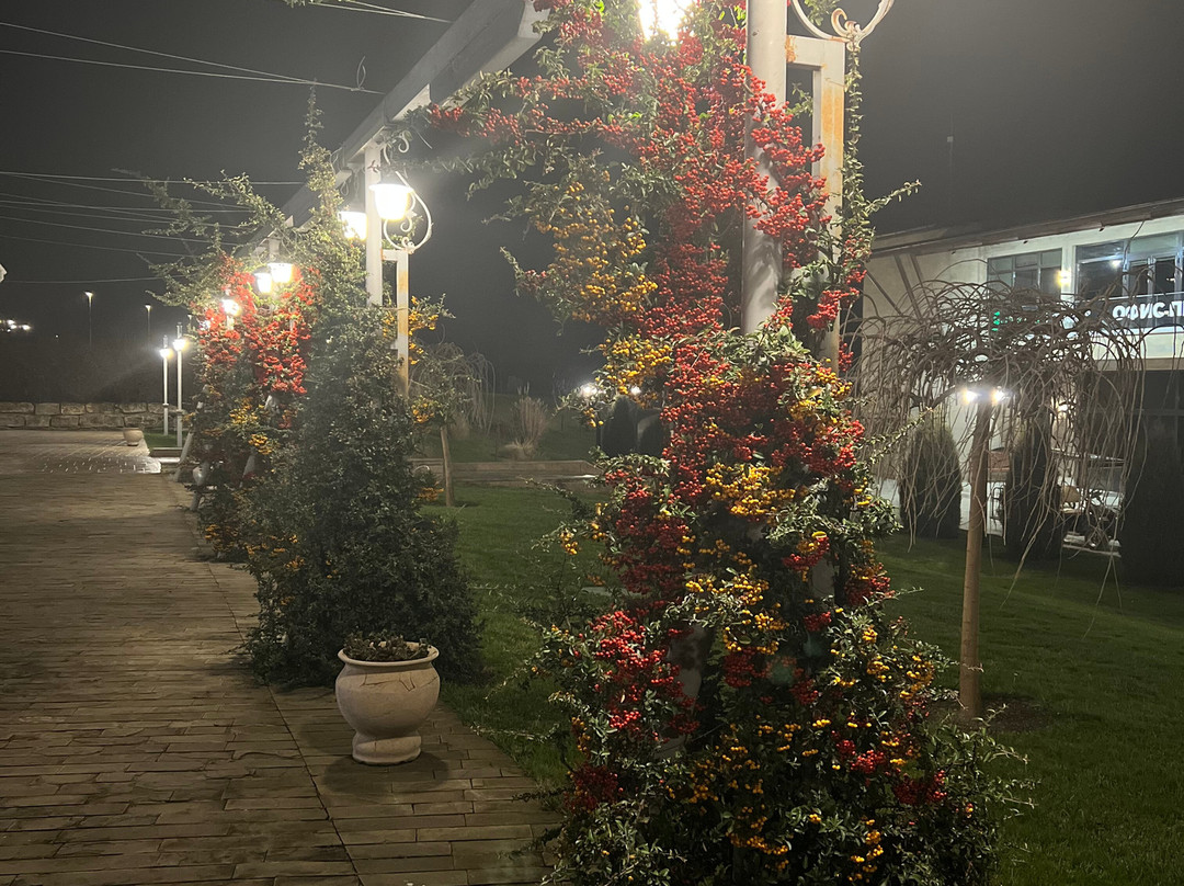 Golf Club Rayevskiy景点图片
