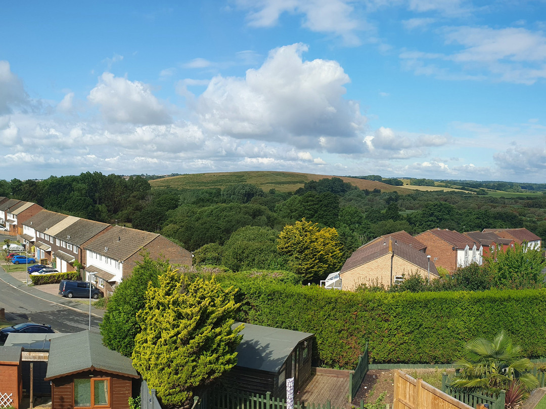 Combe Valley Countryside Park景点图片