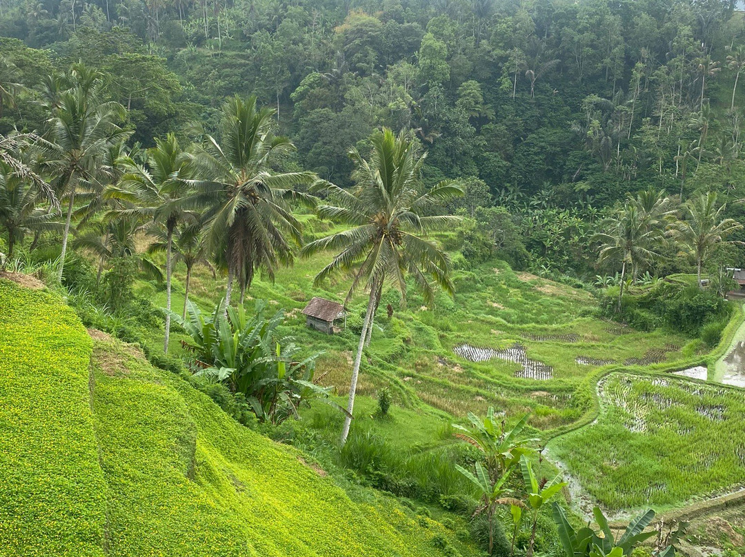 苏亚拉普拉水疗度假村主图