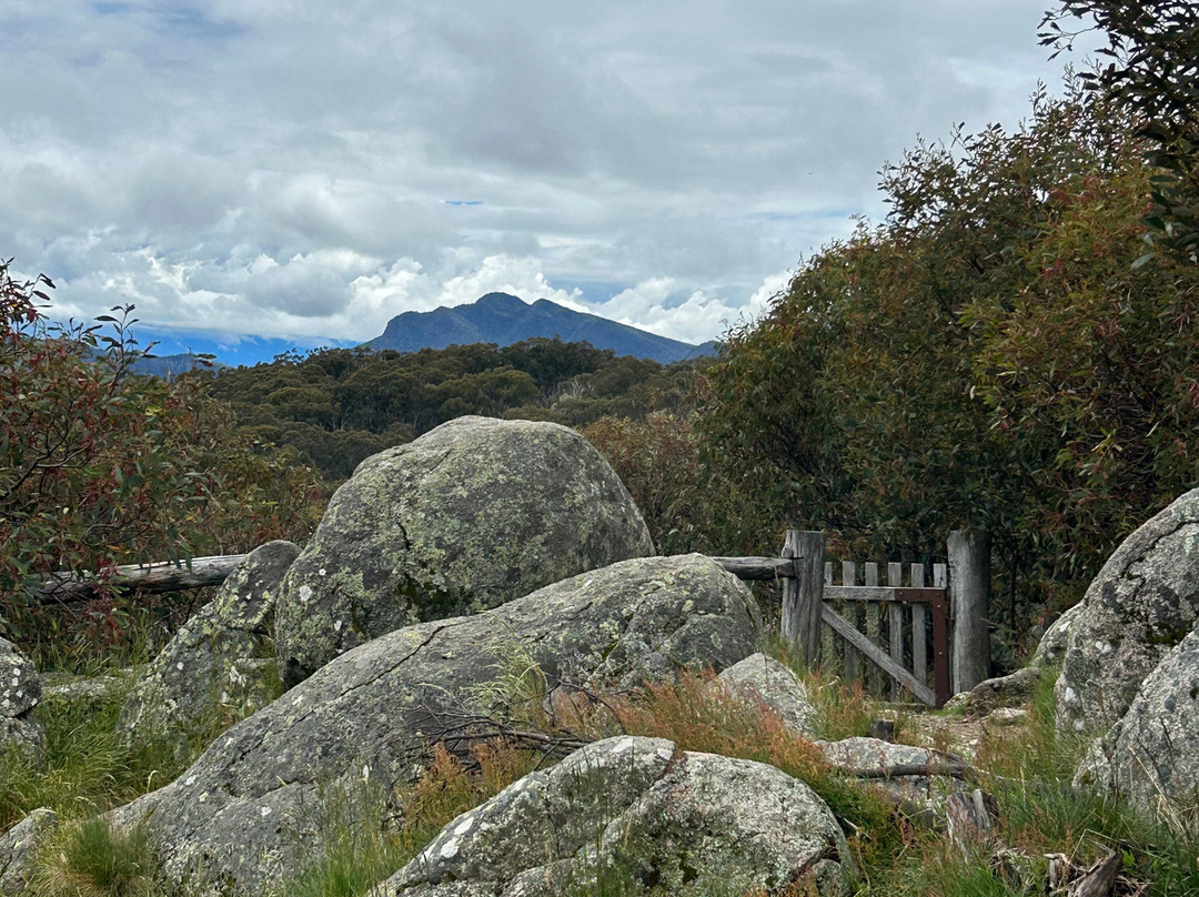 Australis 4WD Adventures-曼斯菲尔德必去景点