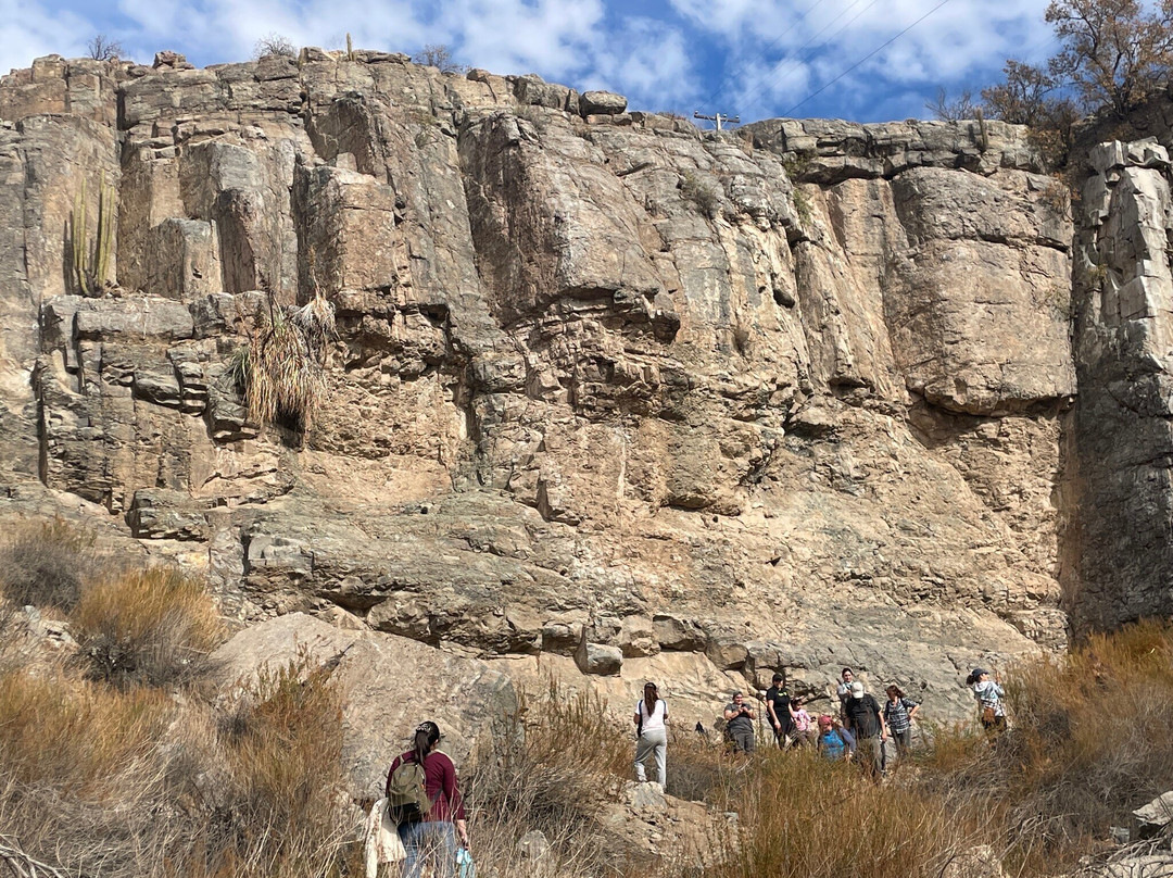 Parque La Giganta-Panquehue必去景点