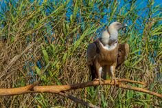 Jardin Zoologique de Rabat-拉巴特必去景点