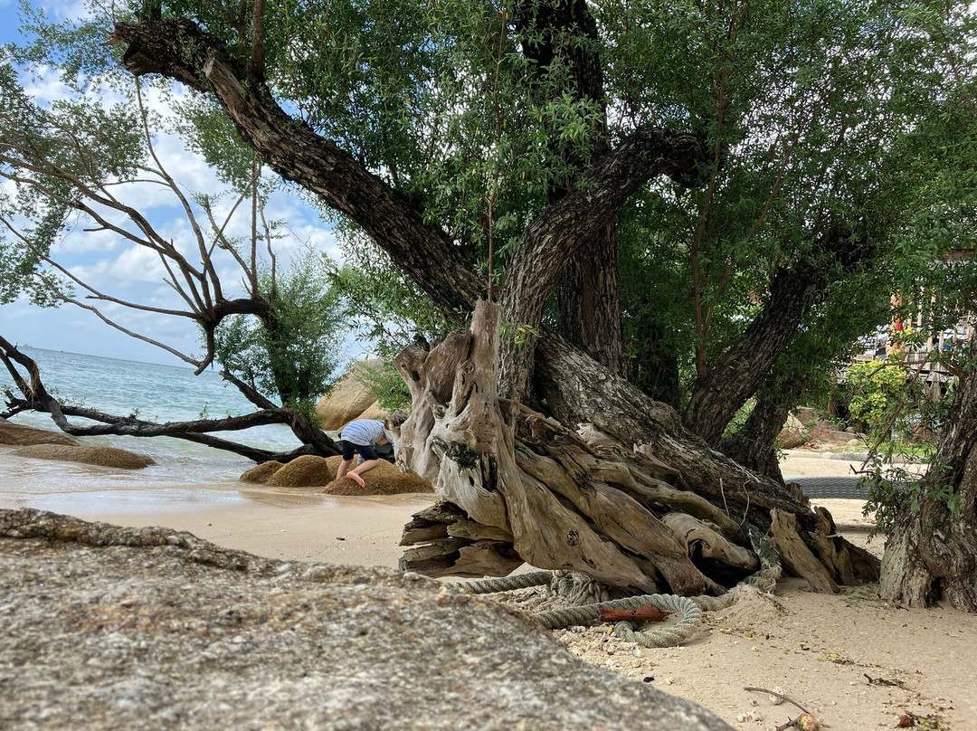 Siam Cookies Bungalow主图