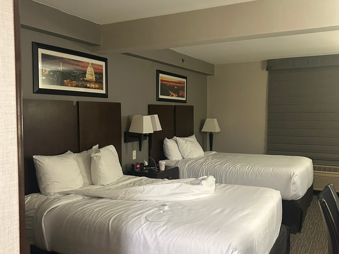 Wingate by Wyndham Chantilly / Dulles Airport主图