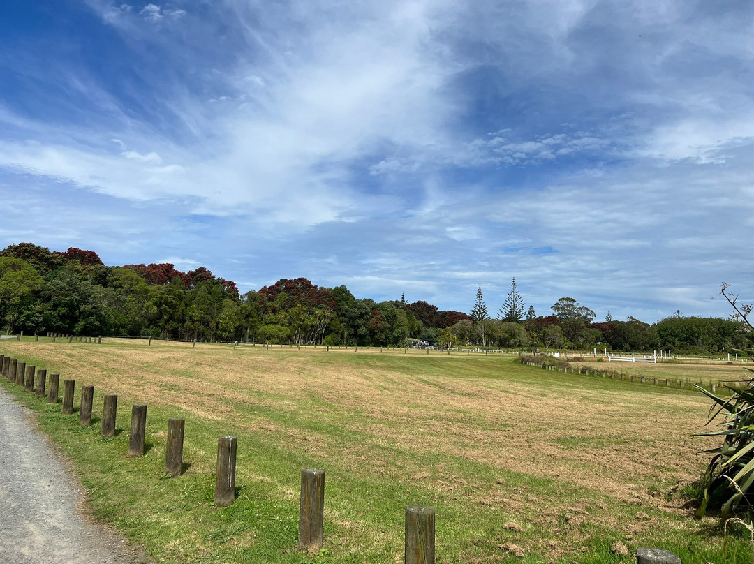 Long Bay Regional Park-Long Bay必去景点