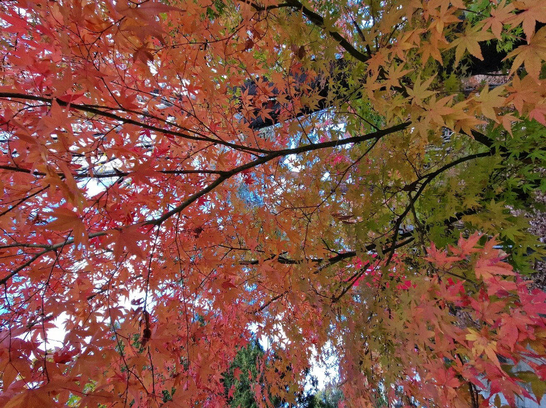 Yohashira Shrine-松本市必去景点