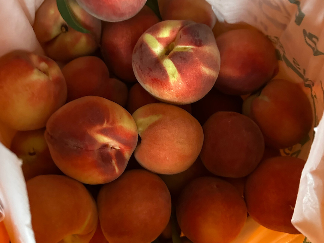 Cedar Creek Orchard-Picton必去景点