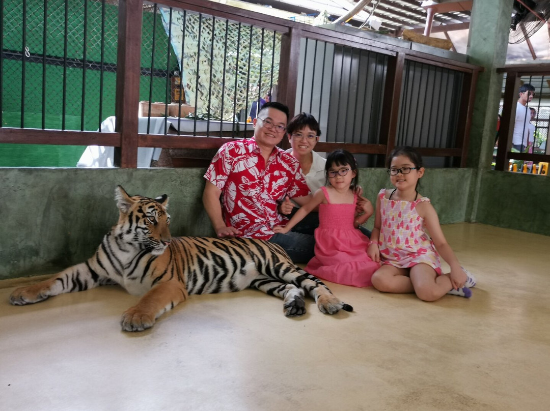 Chai Driver in Phuket-普吉镇必去景点