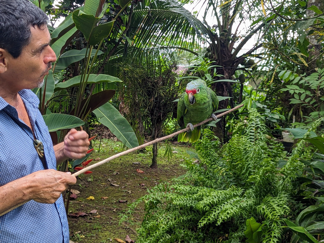 Souvenir Leo-福德圣卡洛斯必去景点