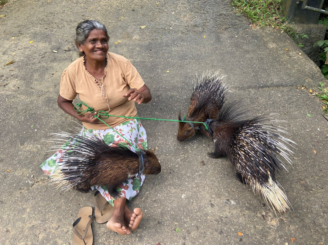 Tour Hope Lanka-卡图纳耶克必去景点