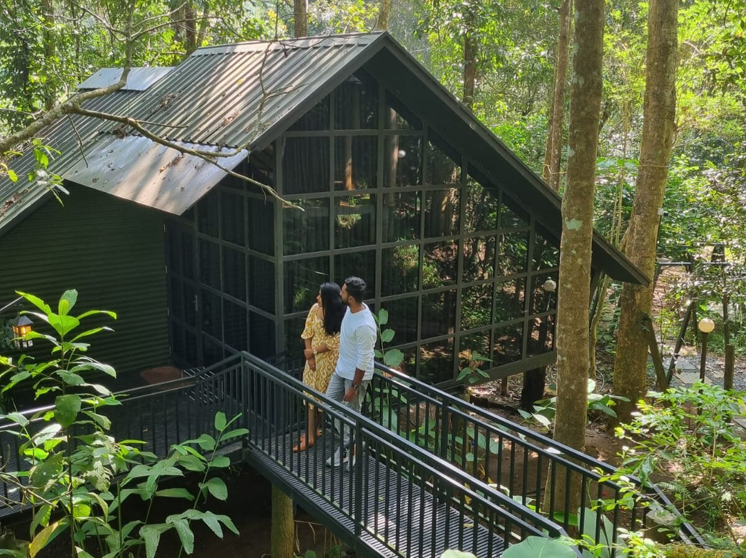 Jungle Beats Resorts主图