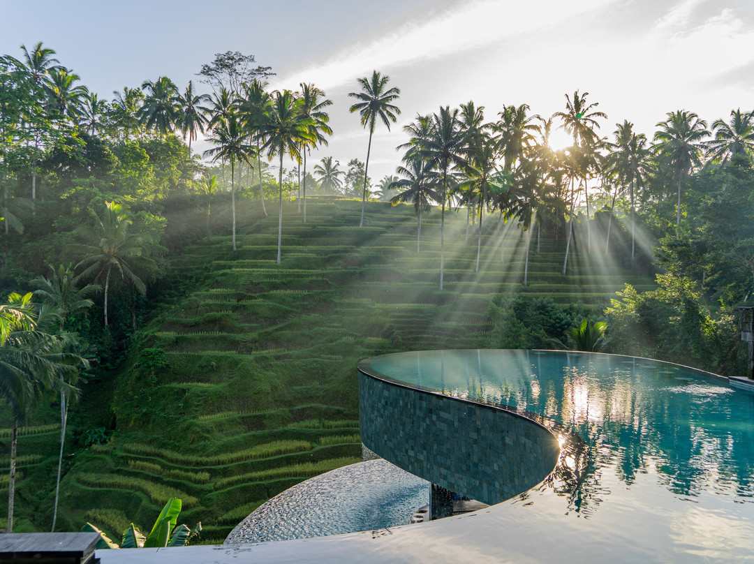Kenderan餐馆和美食-Cretya Ubud