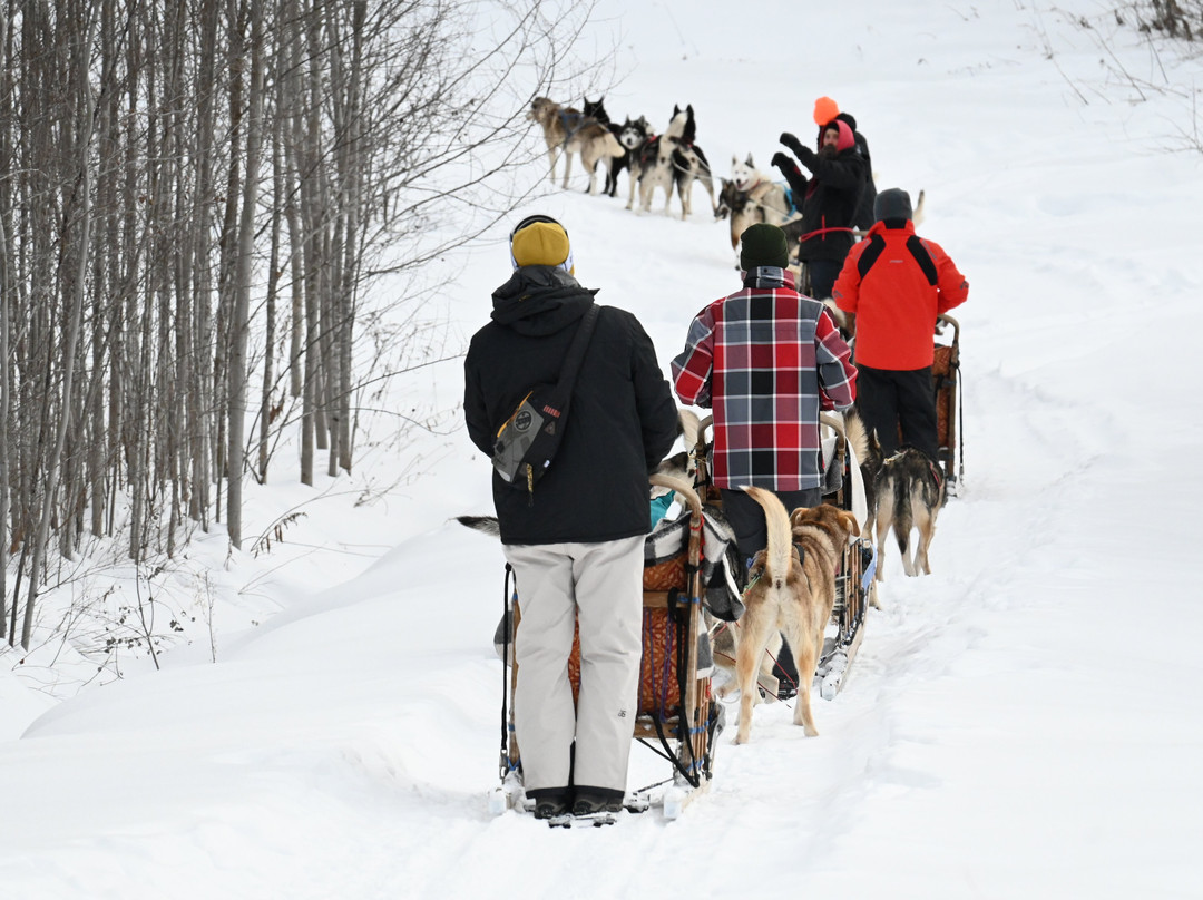 Alaskan Adventure Dog Sledding-Arundel必去景点